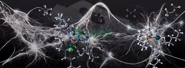 超高分子量聚乙烯（UHMWPE）材料的最新應(yīng)用與未來(lái)展望